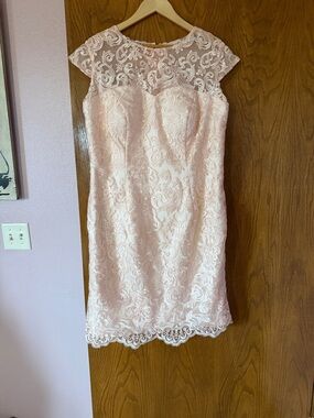 Cap-Sleeve Blush Lace Midi Dress